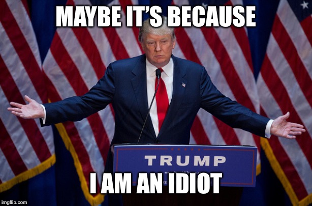 Donald Trump | MAYBE IT’S BECAUSE I AM AN IDIOT | image tagged in donald trump | made w/ Imgflip meme maker