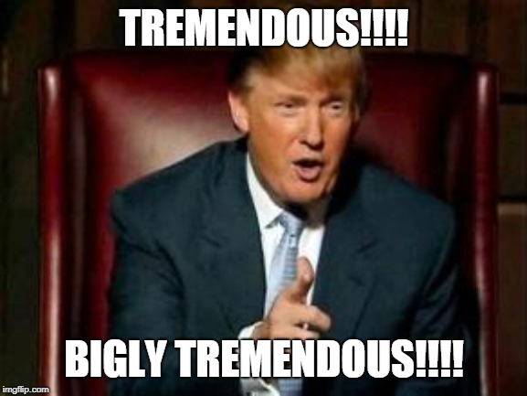 Donald Trump | TREMENDOUS!!!! BIGLY TREMENDOUS!!!! | image tagged in donald trump | made w/ Imgflip meme maker