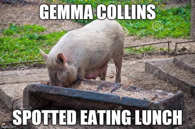 Gemma Collins | image tagged in fat,pig,miss piggy,overweight | made w/ Imgflip meme maker