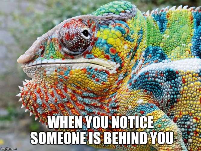 WHEN YOU NOTICE SOMEONE IS BEHIND YOU | image tagged in guacamole | made w/ Imgflip meme maker