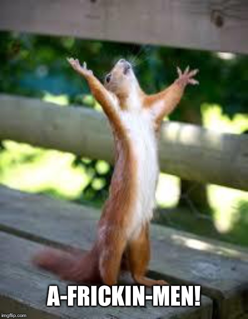 Praise Squirrel | A-FRICKIN-MEN! | image tagged in praise squirrel | made w/ Imgflip meme maker