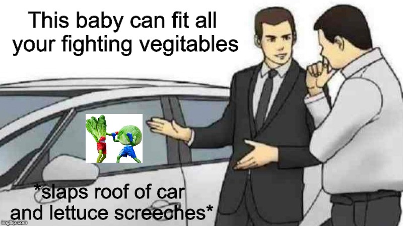 Car Salesman Slaps Roof Of Car | This baby can fit all your fighting vegitables; *slaps roof of car and lettuce screeches* | image tagged in memes,car salesman slaps roof of car | made w/ Imgflip meme maker