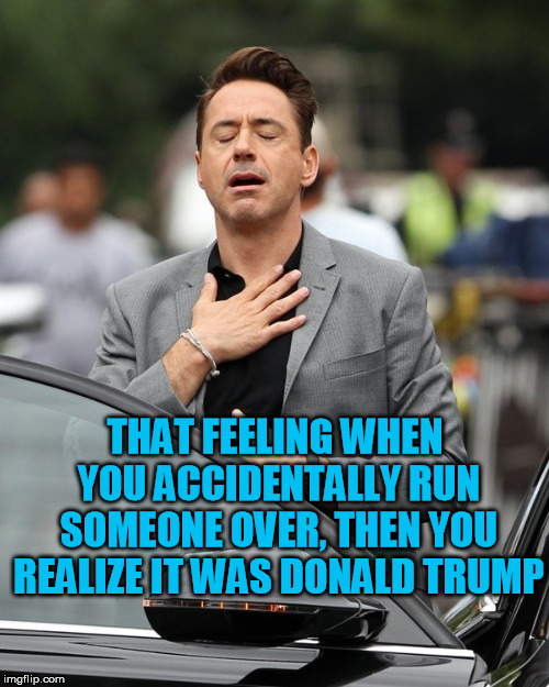 In your dreams. | THAT FEELING WHEN YOU ACCIDENTALLY RUN SOMEONE OVER, THEN YOU REALIZE IT WAS DONALD TRUMP | image tagged in relief | made w/ Imgflip meme maker