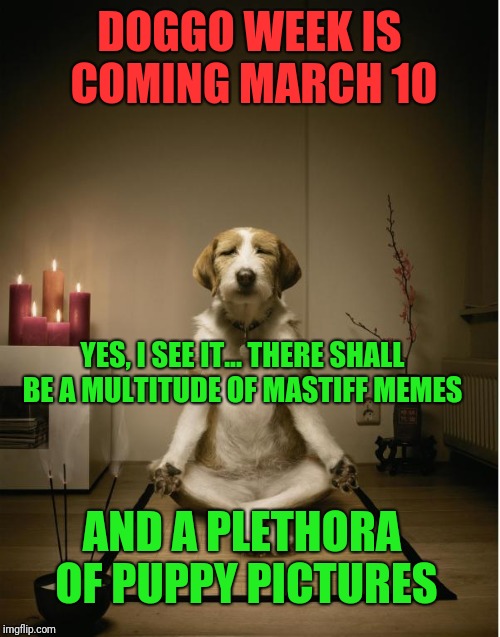Doggy meditation (Doggo Week March 10-16, a Blaze_the_Blaziken and 1forpeace event) | DOGGO WEEK IS COMING MARCH 10; YES, I SEE IT... THERE SHALL BE A MULTITUDE OF MASTIFF MEMES; AND A PLETHORA OF PUPPY PICTURES | image tagged in dog meditation funny,doggo week,memes,1forpeace,blaze the blaziken,zen doggie | made w/ Imgflip meme maker