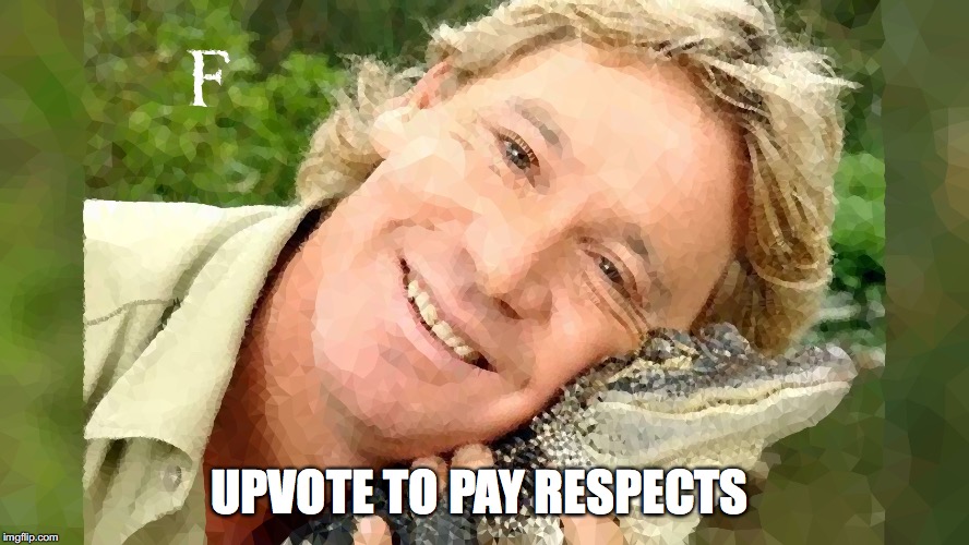 Upvote to Pay Respect | UPVOTE TO PAY RESPECTS | image tagged in steve irwin,crocodile,press f to pay respects,upvote,anti_peta | made w/ Imgflip meme maker