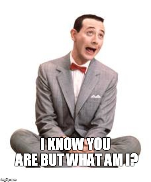 Pee Wee Herman | I KNOW YOU ARE BUT WHAT AM I? | image tagged in pee wee herman | made w/ Imgflip meme maker