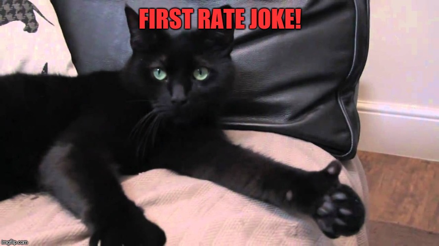 thumbs up cat | FIRST RATE JOKE! | image tagged in thumbs up cat | made w/ Imgflip meme maker