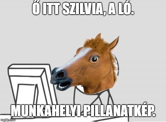 Computer Horse Meme | Ő ITT SZILVIA, A LÓ. MUNKAHELYI PILLANATKÉP. | image tagged in memes,computer horse | made w/ Imgflip meme maker