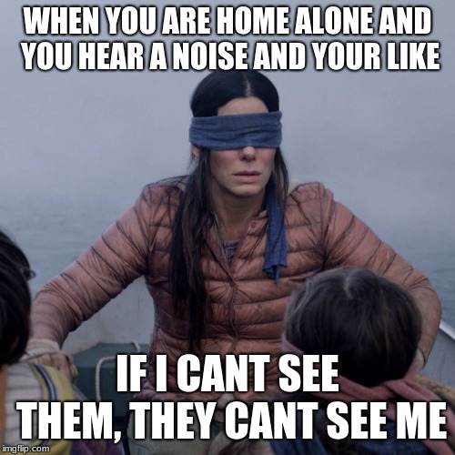 Bird Box Meme | WHEN YOU ARE HOME ALONE AND YOU HEAR A NOISE AND YOUR LIKE; IF I CANT SEE THEM, THEY CANT SEE ME | image tagged in memes,bird box | made w/ Imgflip meme maker
