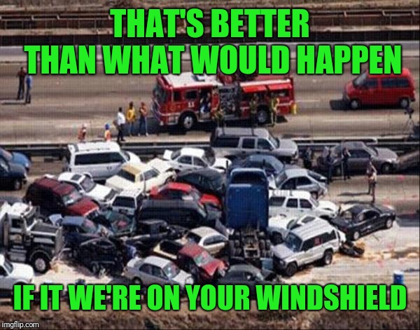 Car accident | THAT'S BETTER THAN WHAT WOULD HAPPEN IF IT WE'RE ON YOUR WINDSHIELD | image tagged in car accident | made w/ Imgflip meme maker