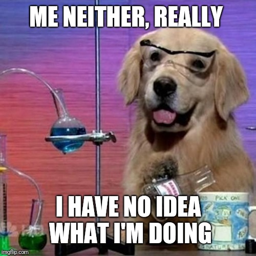 I Have No Idea What I Am Doing Dog Meme | ME NEITHER, REALLY I HAVE NO IDEA WHAT I'M DOING | image tagged in memes,i have no idea what i am doing dog | made w/ Imgflip meme maker