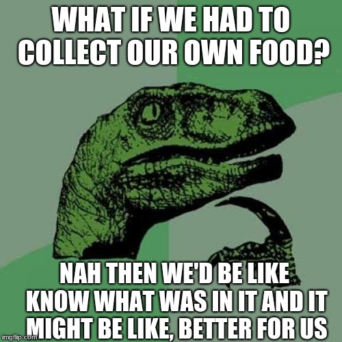 Philosoraptor Meme | WHAT IF WE HAD TO COLLECT OUR OWN FOOD? NAH THEN WE'D BE LIKE KNOW WHAT WAS IN IT AND IT MIGHT BE LIKE, BETTER FOR US | image tagged in memes,philosoraptor | made w/ Imgflip meme maker