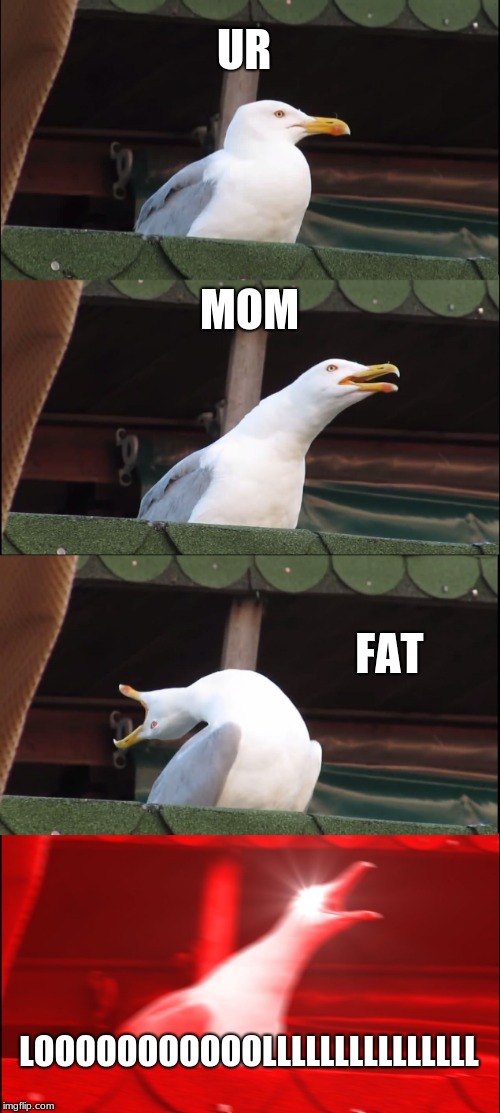 Inhaling Seagull | UR; MOM; FAT; LOOOOOOOOOOOLLLLLLLLLLLLLLL | image tagged in memes,inhaling seagull | made w/ Imgflip meme maker