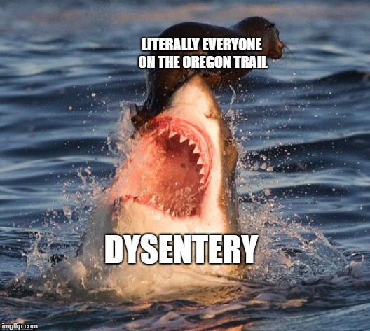 Oregon Trail Struggle is Real | LITERALLY EVERYONE ON THE OREGON TRAIL; DYSENTERY | image tagged in memes,travelonshark | made w/ Imgflip meme maker