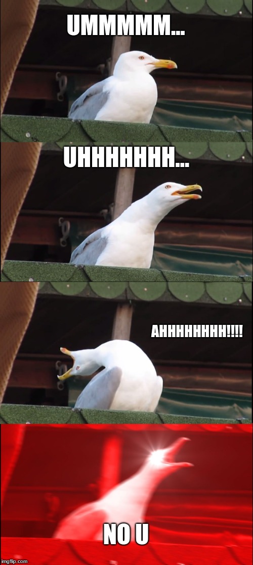 Inhaling Seagull | UMMMMM... UHHHHHHH... AHHHHHHHH!!!! NO U | image tagged in memes,inhaling seagull | made w/ Imgflip meme maker