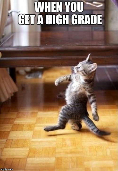 Cool Cat Stroll | WHEN YOU GET A HIGH GRADE | image tagged in memes,cool cat stroll | made w/ Imgflip meme maker