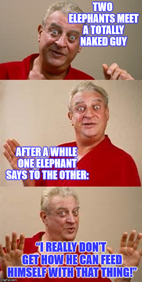 Elephants are keen observers! | TWO ELEPHANTS MEET A TOTALLY NAKED GUY; AFTER A WHILE ONE ELEPHANT SAYS TO THE OTHER:; “I REALLY DON’T GET HOW HE CAN FEED HIMSELF WITH THAT THING!” | image tagged in bad pun dangerfield,funny,jokes,pun,elephants | made w/ Imgflip meme maker