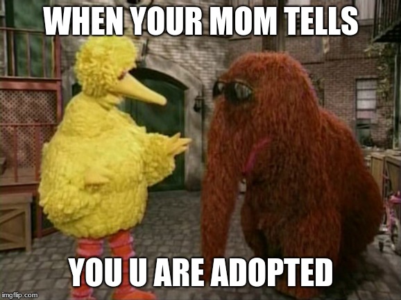 Big Bird And Snuffy Meme | WHEN YOUR MOM TELLS; YOU U ARE ADOPTED | image tagged in memes,big bird and snuffy | made w/ Imgflip meme maker