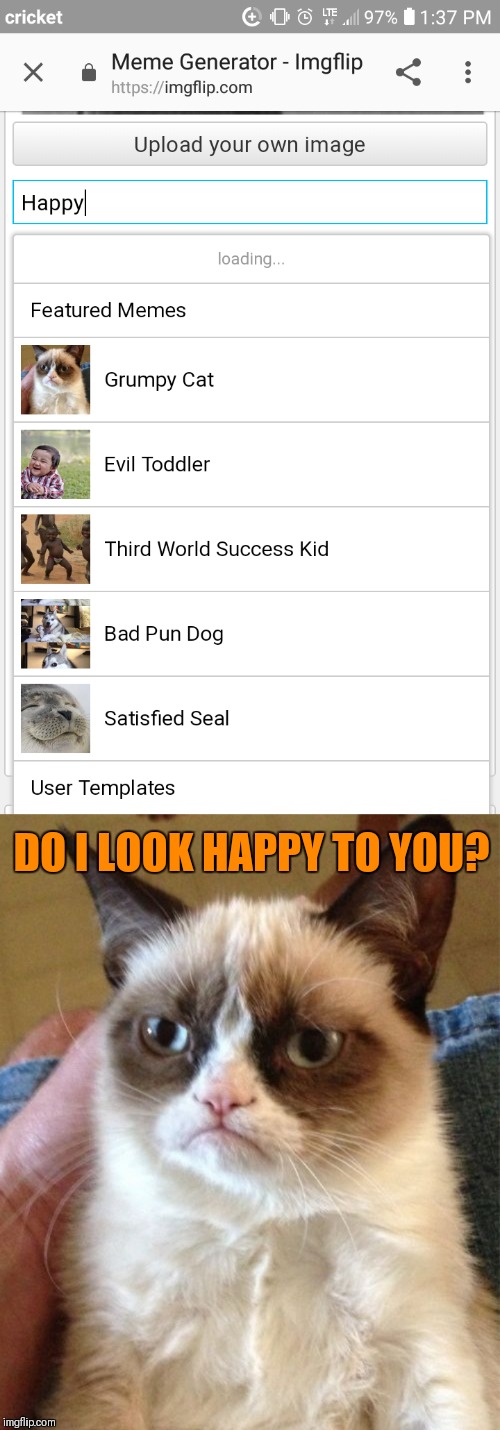 I'm grumpy not happy! Why would grumpy cat pop up when I search happy on imgflip templates? | DO I LOOK HAPPY TO YOU? | image tagged in memes,grumpy cat,fail,imgflip,happy | made w/ Imgflip meme maker