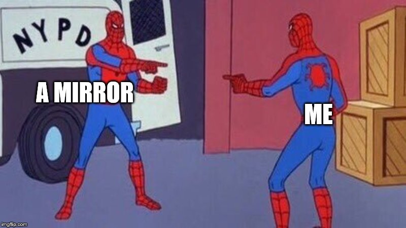 spiderman pointing at spiderman | A MIRROR; ME | image tagged in spiderman pointing at spiderman | made w/ Imgflip meme maker