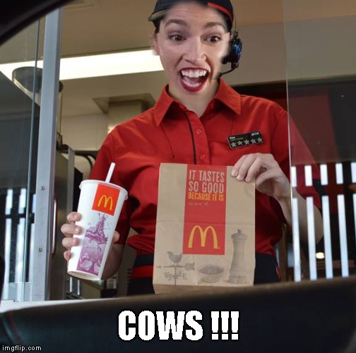 Alexandria Ocasio-Cortez Working At McDonalds | COWS !!! | image tagged in alexandria ocasio-cortez working at mcdonalds | made w/ Imgflip meme maker