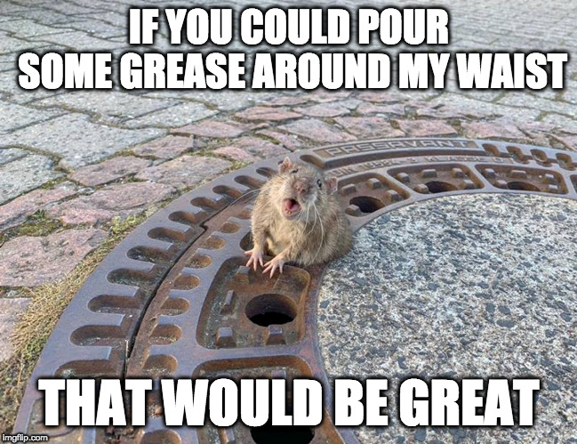 the hole have gotten smaller | IF YOU COULD POUR SOME GREASE AROUND MY WAIST; THAT WOULD BE GREAT | image tagged in stuck rat,that would be great | made w/ Imgflip meme maker