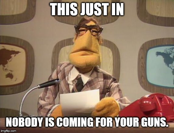 muppet news | THIS JUST IN NOBODY IS COMING FOR YOUR GUNS. | image tagged in muppet news | made w/ Imgflip meme maker
