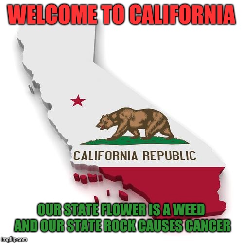 The Golden Poppy and the Serpentine rock | WELCOME TO CALIFORNIA; OUR STATE FLOWER IS A WEED AND OUR STATE ROCK CAUSES CANCER | image tagged in california,cancer,weeds,welcome,look it up | made w/ Imgflip meme maker