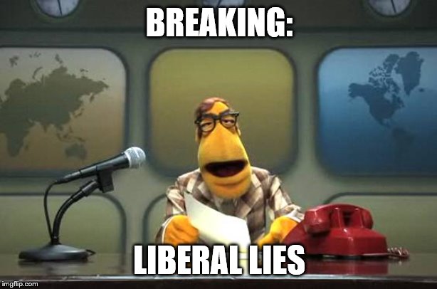 Muppet News Flash | BREAKING: LIBERAL LIES | image tagged in muppet news flash | made w/ Imgflip meme maker