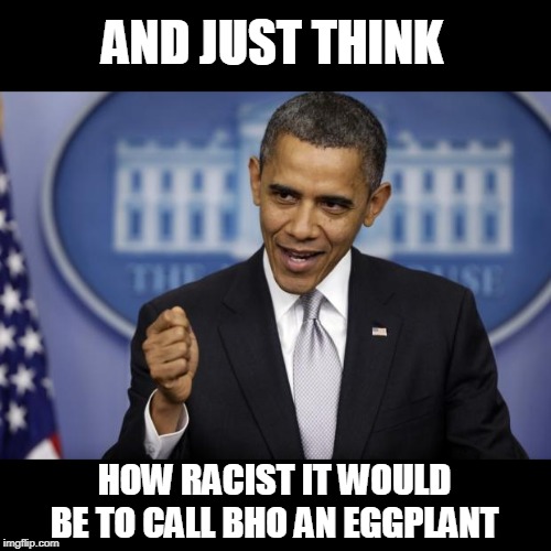Barack Obama | AND JUST THINK HOW RACIST IT WOULD BE TO CALL BHO AN EGGPLANT | image tagged in barack obama | made w/ Imgflip meme maker