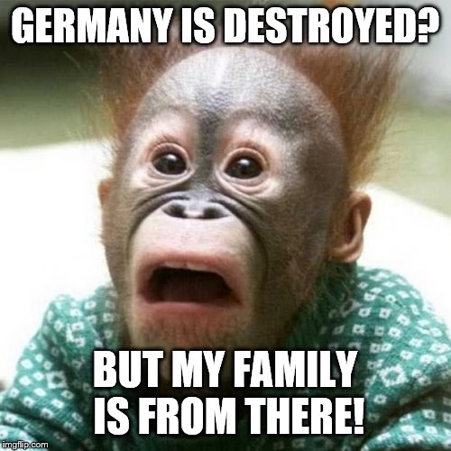 Shocked Monkey | GERMANY IS DESTROYED? BUT MY FAMILY IS FROM THERE! | image tagged in shocked monkey | made w/ Imgflip meme maker