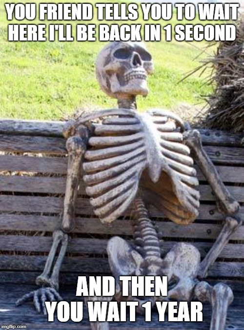 Waiting Skeleton | YOU FRIEND TELLS YOU TO WAIT HERE I'LL BE BACK IN 1 SECOND; AND THEN YOU WAIT 1 YEAR | image tagged in memes,waiting skeleton | made w/ Imgflip meme maker