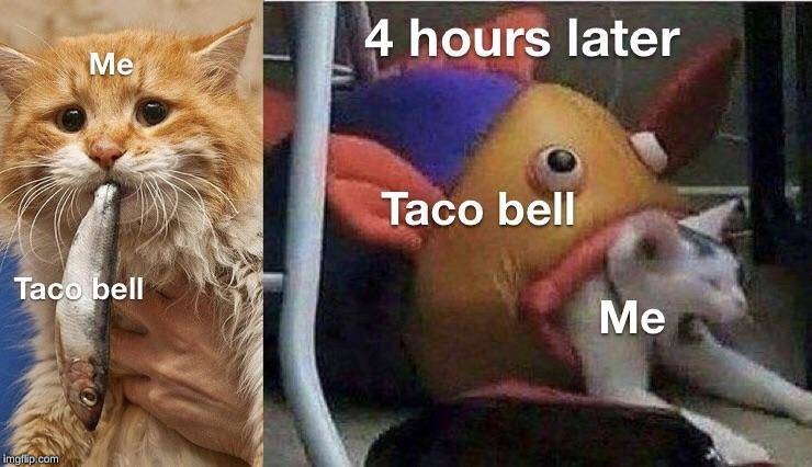 image tagged in taco bell | made w/ Imgflip meme maker
