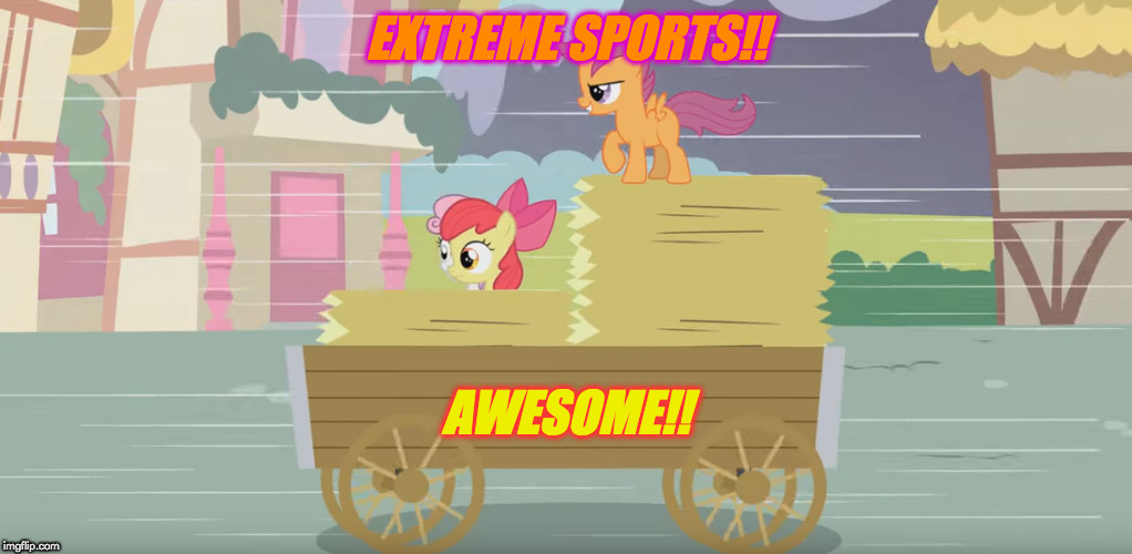 EXTREME SPORTS!! AWESOME!! | image tagged in extreme sport | made w/ Imgflip meme maker