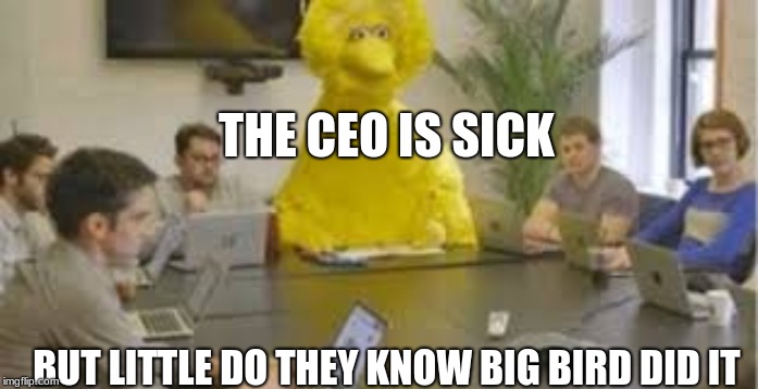 Big Bird | THE CEO IS SICK; BUT LITTLE DO THEY KNOW BIG BIRD DID IT | image tagged in big bird,business,assassination | made w/ Imgflip meme maker