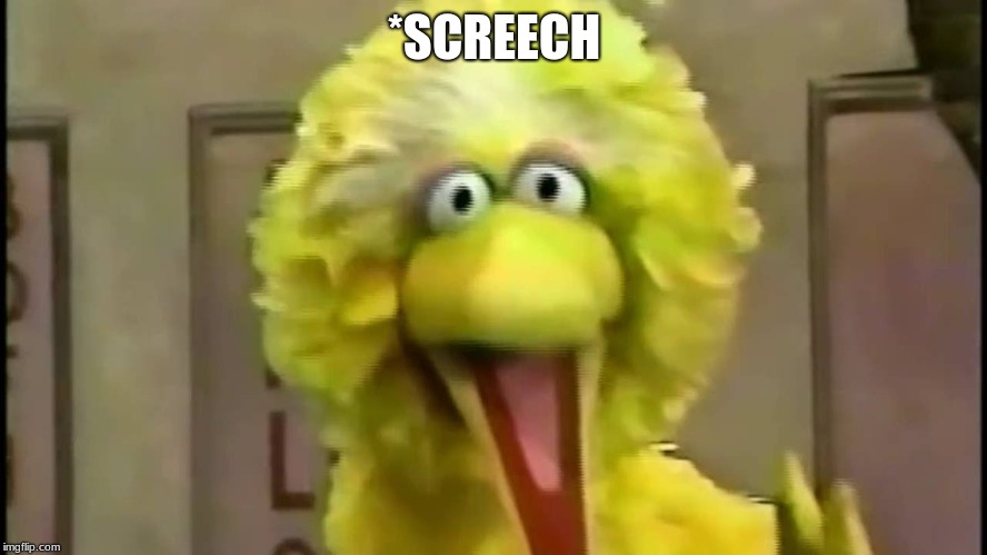 Big Bird | *SCREECH | image tagged in loud,ornithology,yellow | made w/ Imgflip meme maker