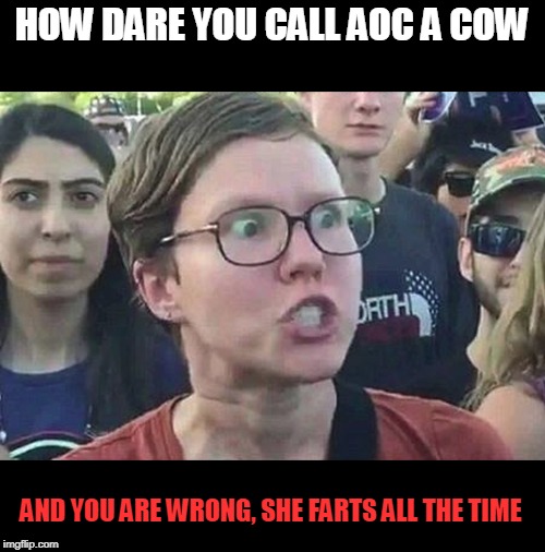 Triggered Liberal | HOW DARE YOU CALL AOC A COW AND YOU ARE WRONG, SHE FARTS ALL THE TIME | image tagged in triggered liberal | made w/ Imgflip meme maker