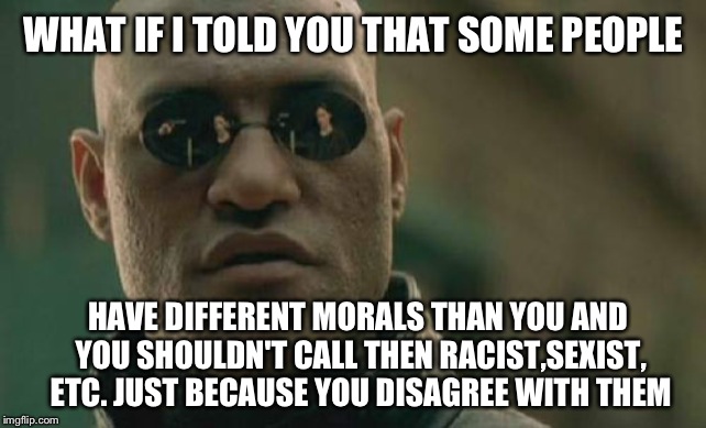 The meme can go both ways | WHAT IF I TOLD YOU THAT SOME PEOPLE; HAVE DIFFERENT MORALS THAN YOU AND YOU SHOULDN'T CALL THEN RACIST,SEXIST, ETC. JUST BECAUSE YOU DISAGREE WITH THEM | image tagged in memes,matrix morpheus | made w/ Imgflip meme maker