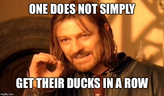 One Does Not Simply | ONE DOES NOT SIMPLY; GET THEIR DUCKS IN A ROW | image tagged in memes,one does not simply | made w/ Imgflip meme maker