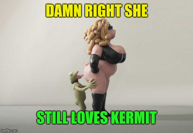 kermit loves eating bacon | DAMN RIGHT SHE STILL LOVES KERMIT | image tagged in kermit loves eating bacon | made w/ Imgflip meme maker