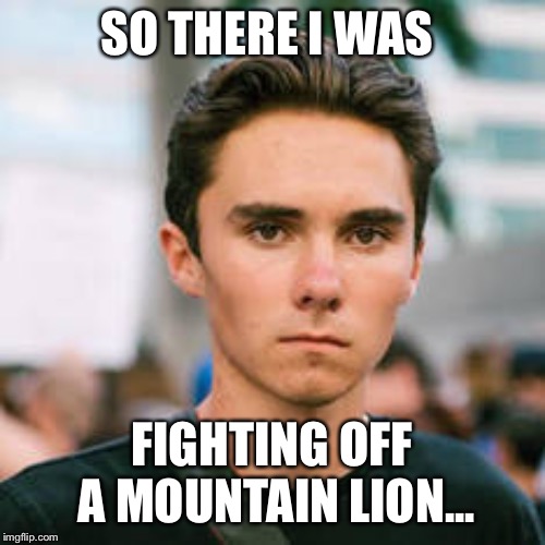 David Hogg | SO THERE I WAS; FIGHTING OFF A MOUNTAIN LION... | image tagged in political meme | made w/ Imgflip meme maker