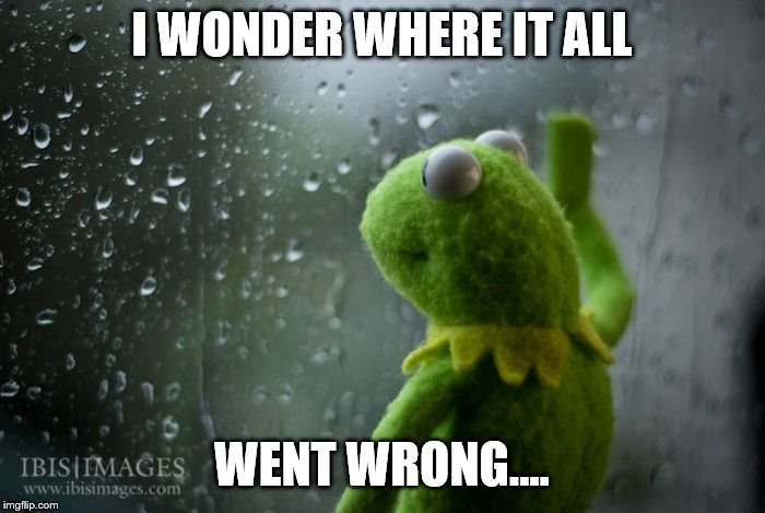 kermit window | I WONDER WHERE IT ALL WENT WRONG.... | image tagged in kermit window | made w/ Imgflip meme maker