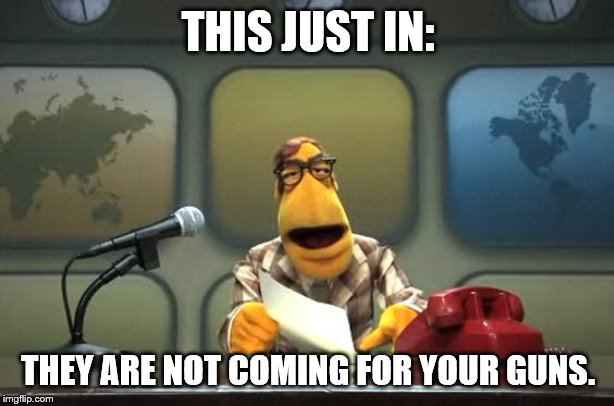 Muppet News Flash | THIS JUST IN: THEY ARE NOT COMING FOR YOUR GUNS. | image tagged in muppet news flash | made w/ Imgflip meme maker