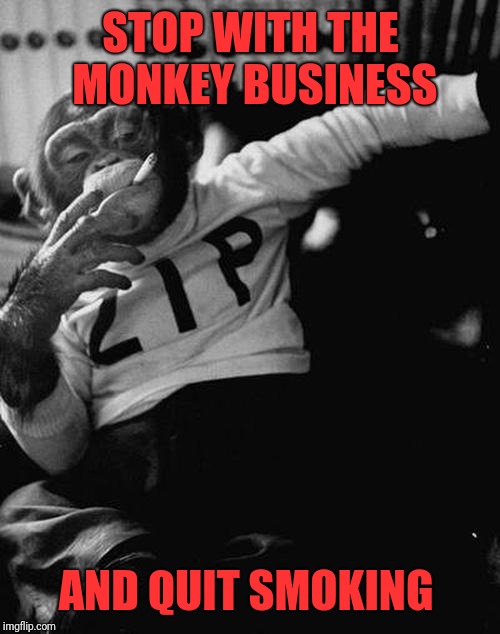 smoking monkey  | STOP WITH THE MONKEY BUSINESS AND QUIT SMOKING | image tagged in smoking monkey | made w/ Imgflip meme maker