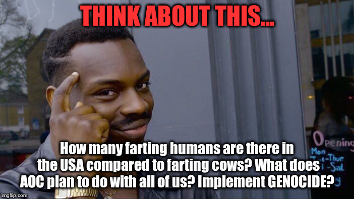 Roll Safe Think About It Meme | THINK ABOUT THIS... How many farting humans are there in the USA compared to farting cows? What does AOC plan to do with all of us? Implement GENOCIDE? | image tagged in memes,roll safe think about it | made w/ Imgflip meme maker