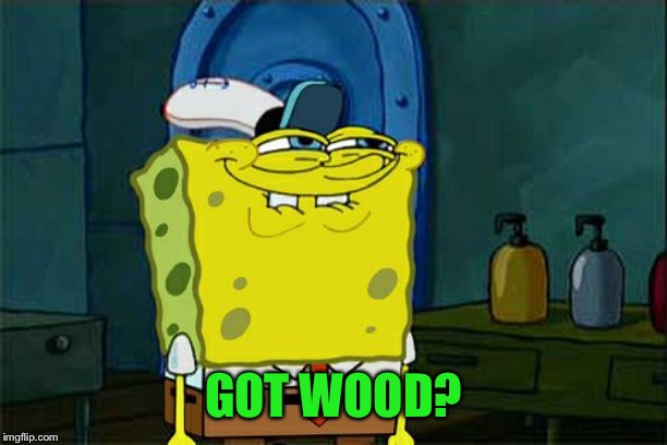Don't You Squidward Meme | GOT WOOD? | image tagged in memes,dont you squidward | made w/ Imgflip meme maker