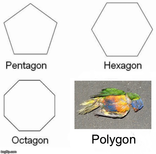 Technically then, I guess these are all the same.   | Polygon | image tagged in memes,pentagon hexagon octagon,dead,parrot,nickname,polly | made w/ Imgflip meme maker