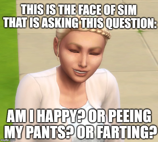 Is This A Pigeon Meme | THIS IS THE FACE OF SIM THAT IS ASKING THIS QUESTION:; AM I HAPPY? OR PEEING MY PANTS? OR FARTING? | image tagged in memes,is this a pigeon | made w/ Imgflip meme maker