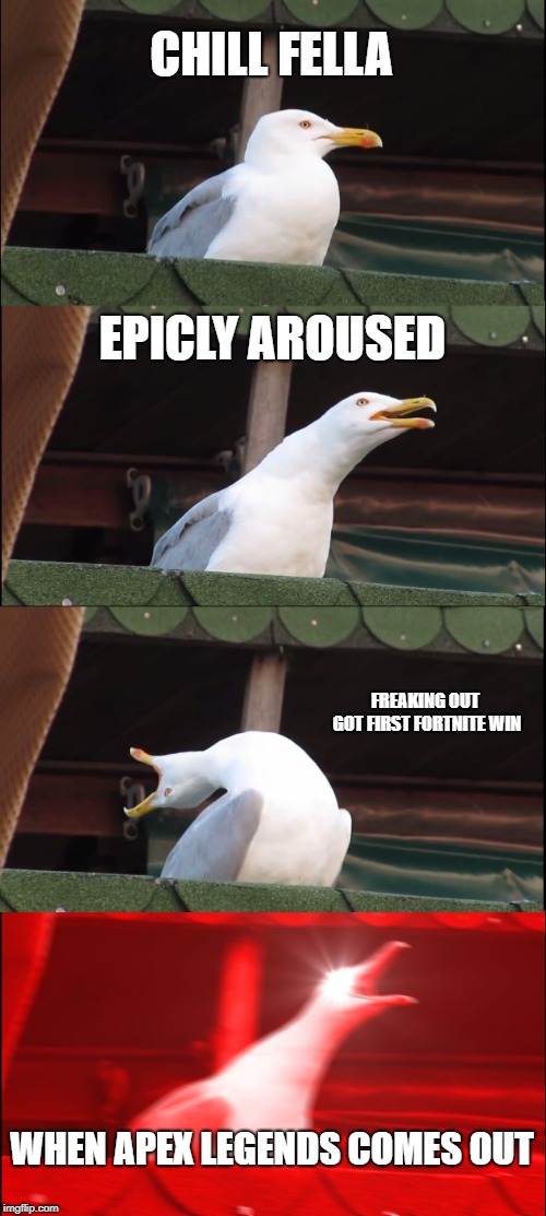 Inhaling Seagull | CHILL FELLA; EPICLY AROUSED; FREAKING OUT GOT FIRST FORTNITE WIN; WHEN APEX LEGENDS COMES OUT | image tagged in memes,inhaling seagull | made w/ Imgflip meme maker