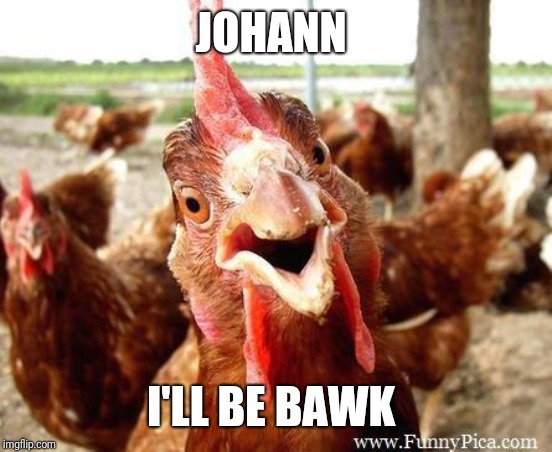 Chicken | JOHANN I'LL BE BAWK | image tagged in chicken | made w/ Imgflip meme maker